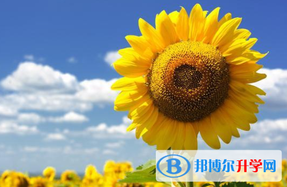   2020年樂山中考怎樣考出好成績
