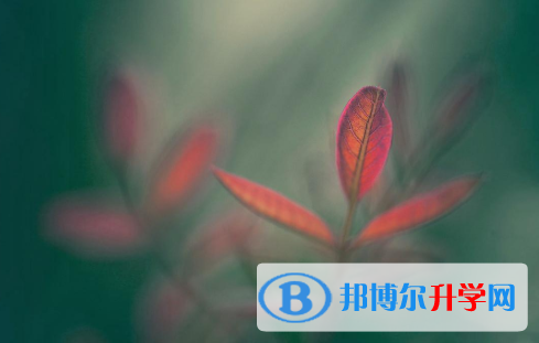 2021年延安中考網報