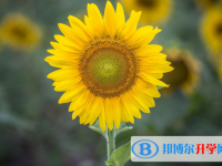 2021年咸陽中考報名是哪個網站