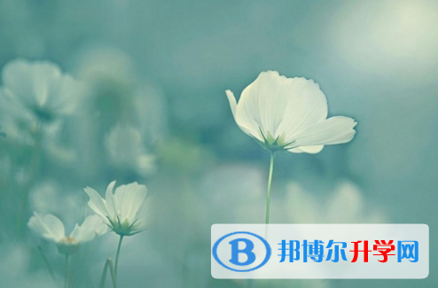 2021年延安中考線預測
