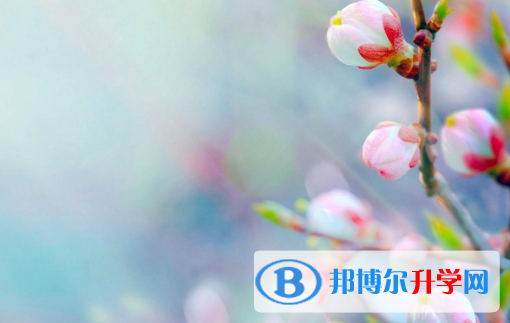 2021年延安中考預估重點線