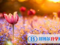 2021年延安中考重點線錄取