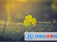 2021年延安中考咨詢熱線電話號碼