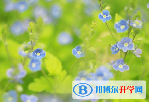 2021年安康中考自主招生成績