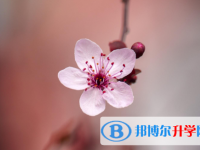 2021年安康今年中考統招線包括哪些區域
