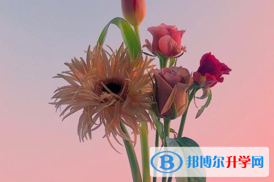 2021年漢中中考報名查詢