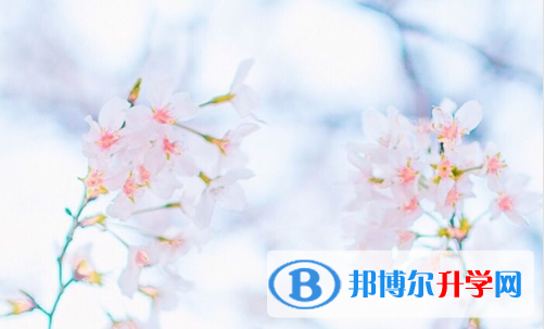 2021年安康中考升學率