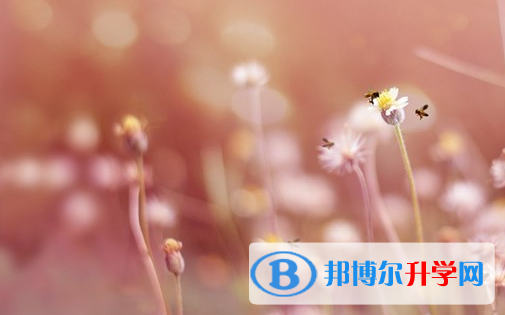 2021年安康中考準考證丟了怎么辦