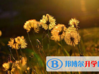 2021年安康中考的報名號是什么