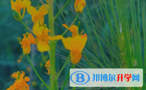 2021年安康這次中考多久結束