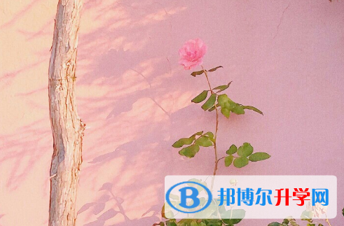 2021年安康什么是中考調劑生