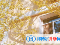 2021年安康中考報名網站登錄