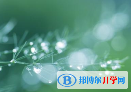 2021年安康中考志愿填報