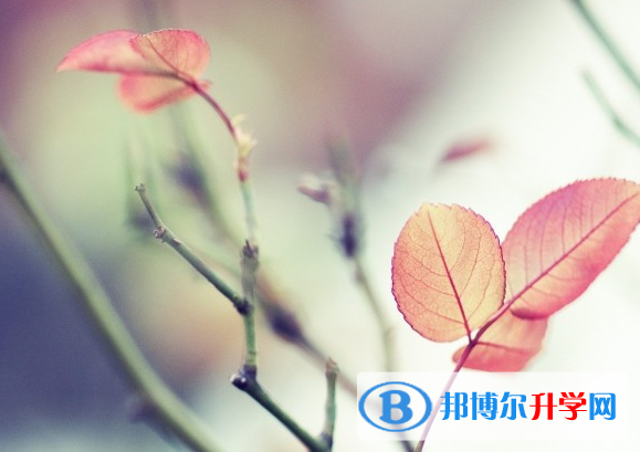 2021年石家莊中考成績查詢方法