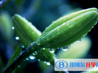 2021年石家莊中考成績查詢入口