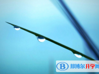 2021年石家莊中考成績查詢系