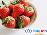 2021年商洛中考填志愿統招和調劑