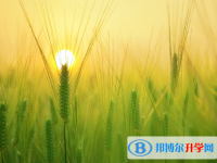 2021年石家莊中考后幾天出成績