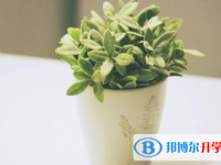 2021年商洛中考網報