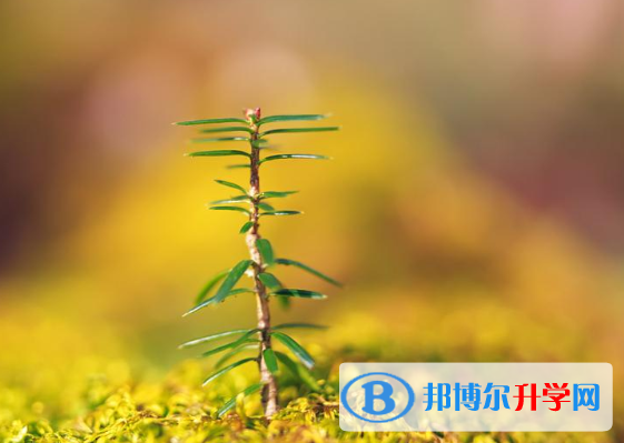 2021年石家莊中考成績查詢網址