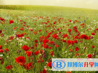 2021年石家莊中考體育考試成績查詢