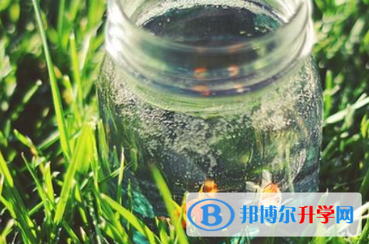2021年商洛中考網中考查詢