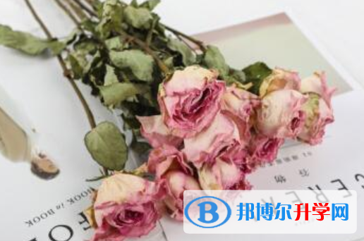 2021年商洛中考招生考試查詢系統