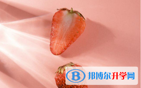 2021年商洛中考重點復習資料