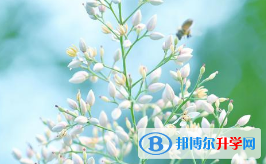 2021年商洛中考重點線上線率