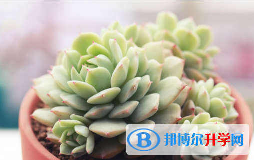2021年商洛中考準考證信息