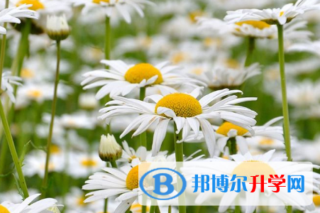 保定2021年中考報考學校名單