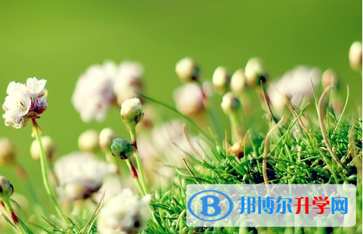 保定2021年中考查詢系統