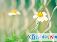 寶雞2021年中考志愿填報網址