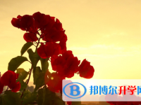 保定2021年中考查詢網