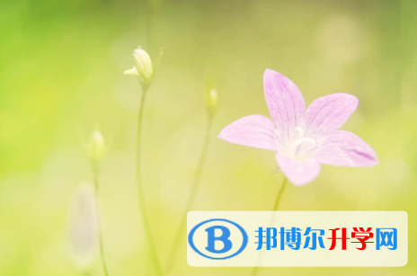 保定2021年中考調招