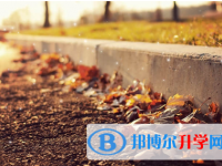 保定2021年中考網登錄