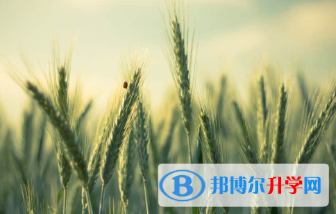 保定2021年中考自主招生考試學校