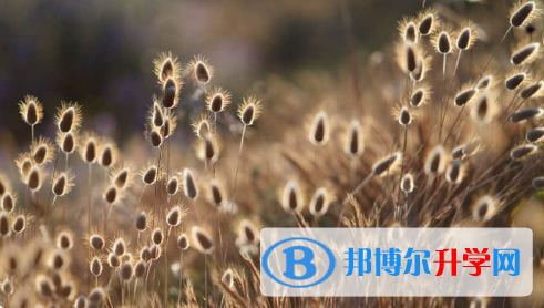 唐山2021年中考考點有哪幾個