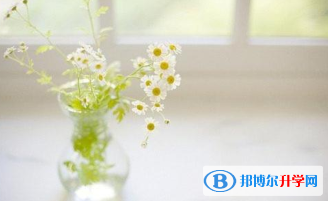 石家莊2021年中考報名系統網址
