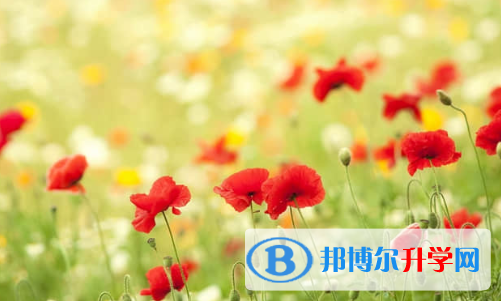 秦皇島2021年中考后可以上什么學校