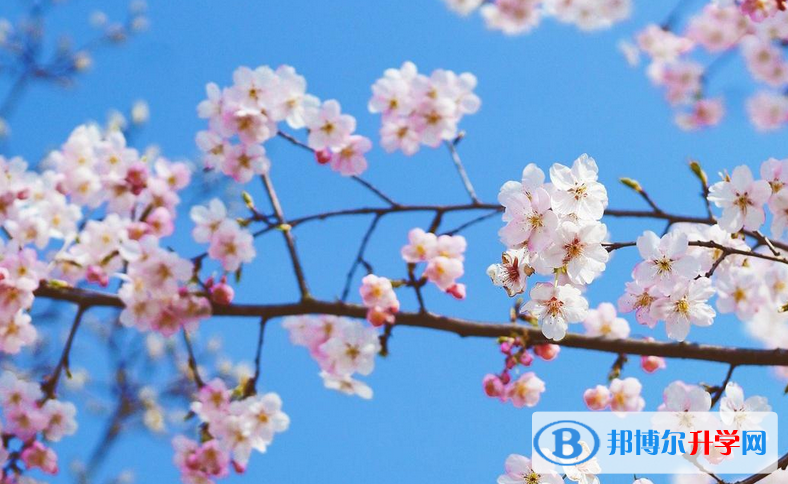 邯鄲2021年這次中考多久結束