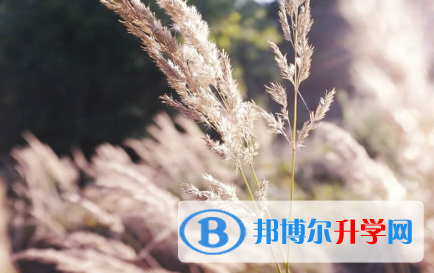 秦皇島2021年怎么寫中考自薦書