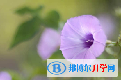 秦皇島2021年怎樣中考正常發揮