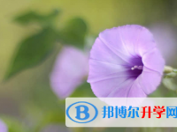 秦皇島2021年怎樣中考正常發揮