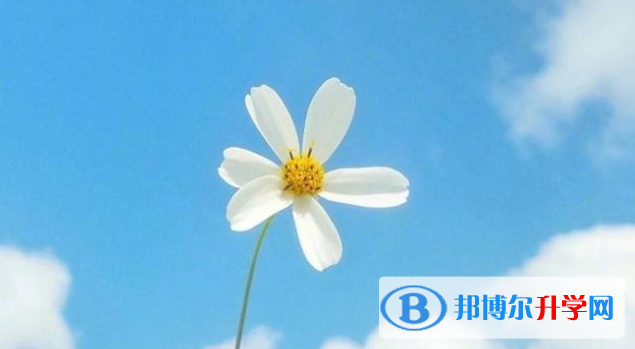 邯鄲2021年中考網絡應用服務平臺登錄
