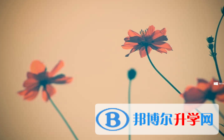 秦皇島2021年中考模擬填報志愿