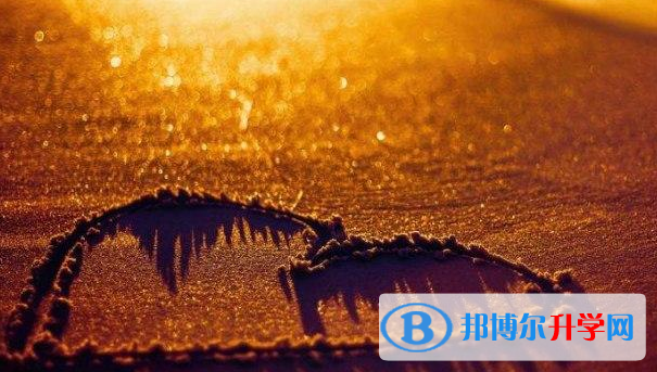 張家口2021年網上查詢中考成績