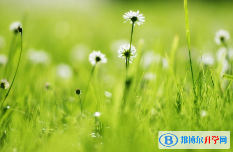 張家口2021年各個學校中考錄取線