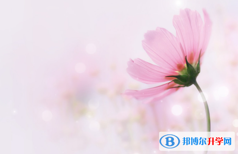 張家口2021年中考統考成績