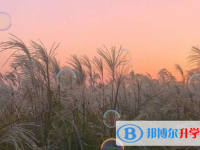 張家口2021年中考預估重點線